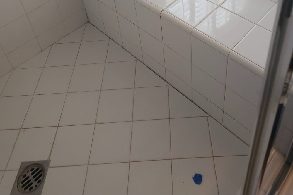 grout mold