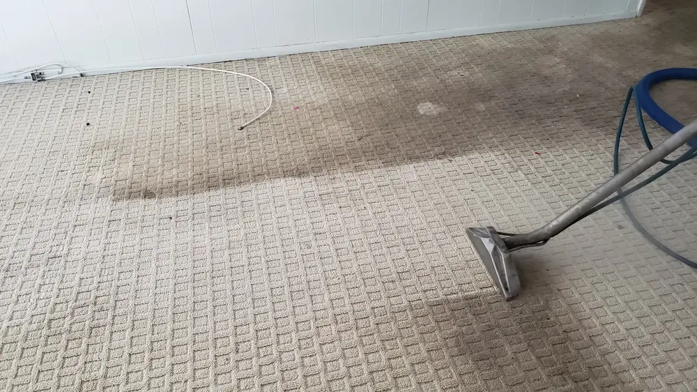 apartment carpet cleaning