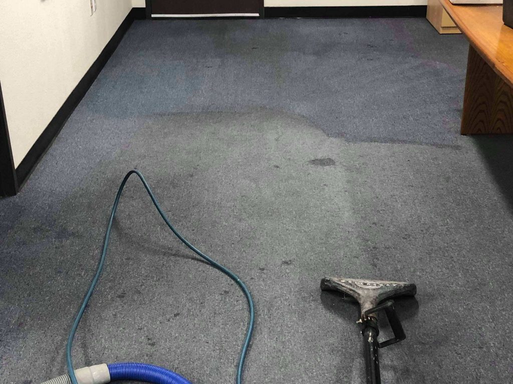 Regular carpet cleaning to maintain carpet - JP Carpet Cleaning