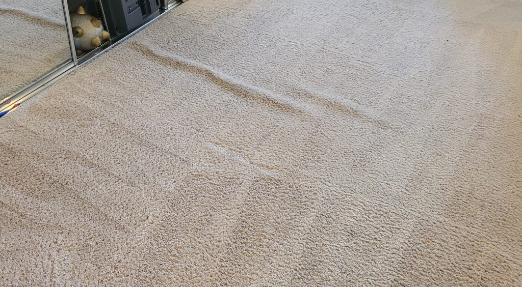 Ripples in wall-to-wall carpet before professional stretching