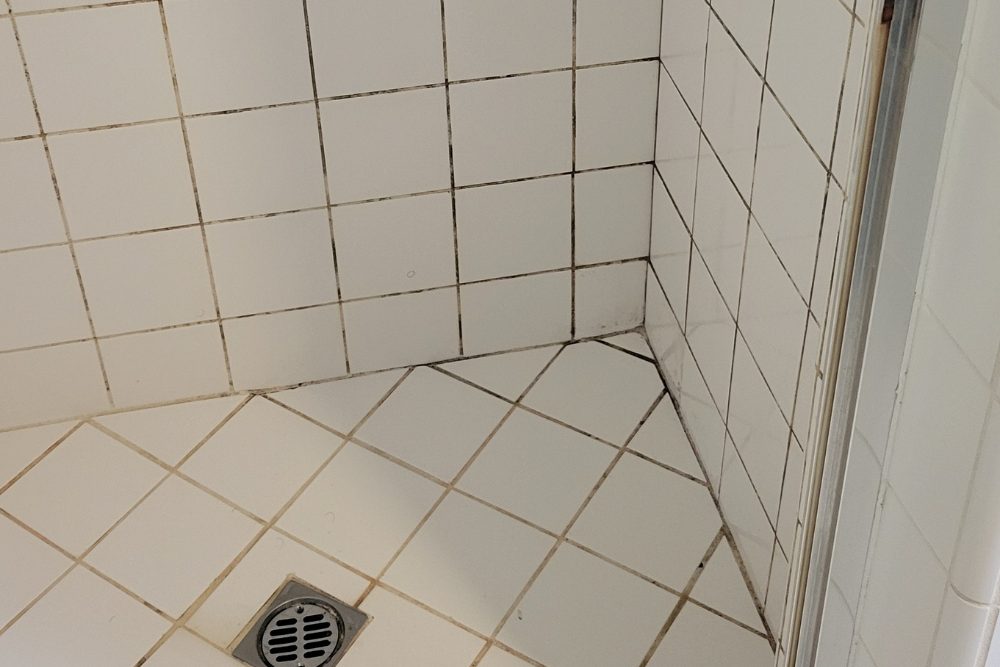 Remove mold from tile grout