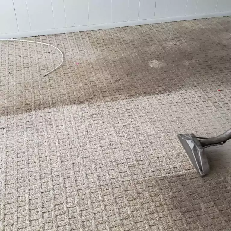 Best Carpet Cleaning