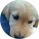 Brian Fielding profile picture