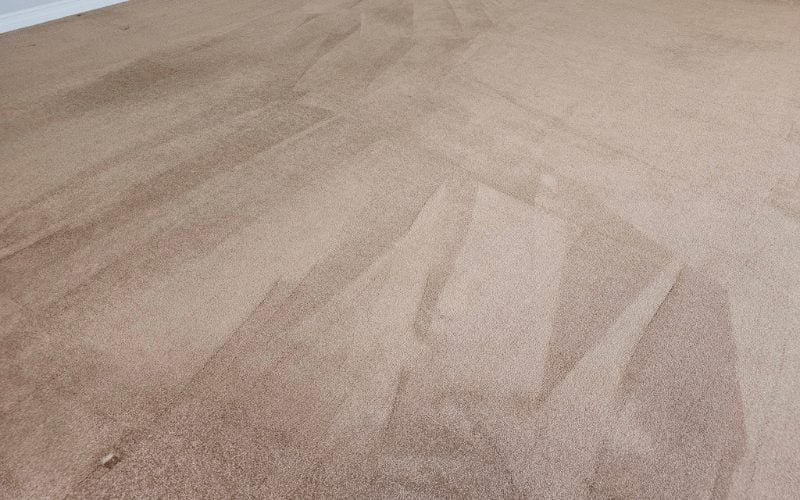 Do’s and Don’ts of Carpet Cleaning