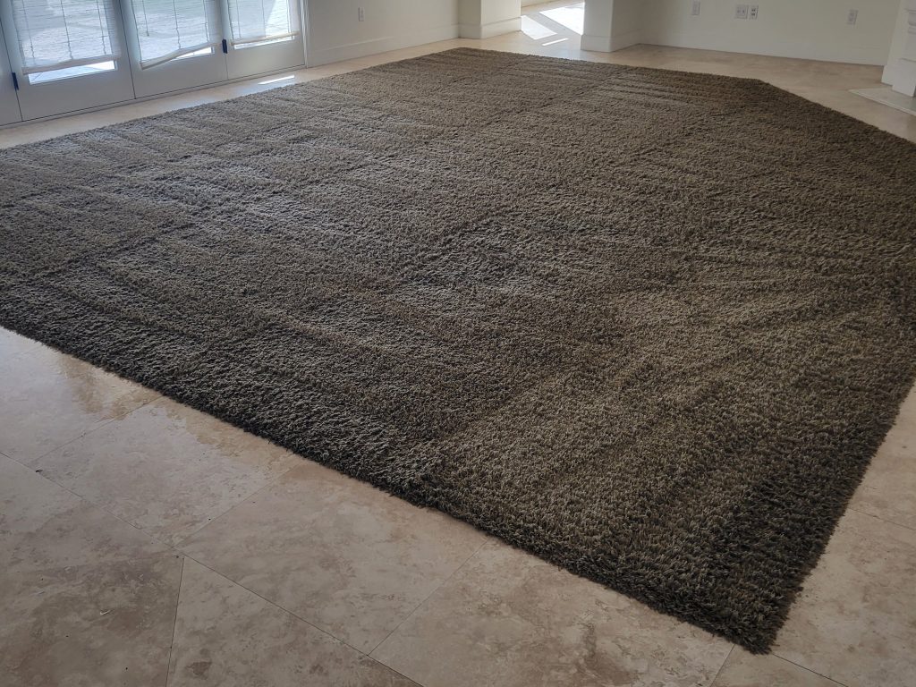 Efficient carpet cleaning team in Los Angeles
