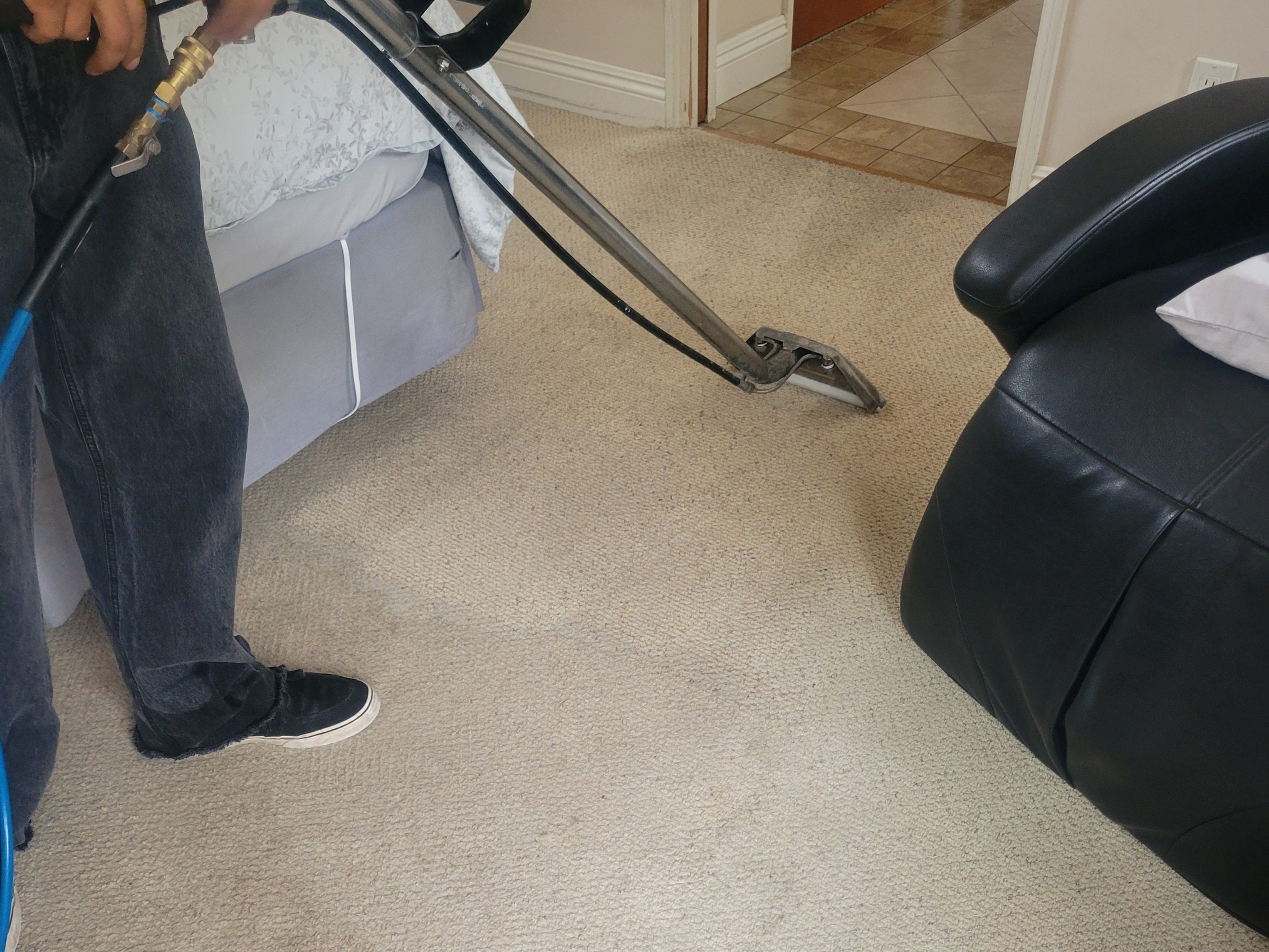 Full service carpet cleaning in Los Angeles