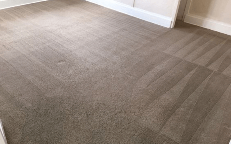 How Much Does Carpet Cleaning Cost in Sherman Oaks?