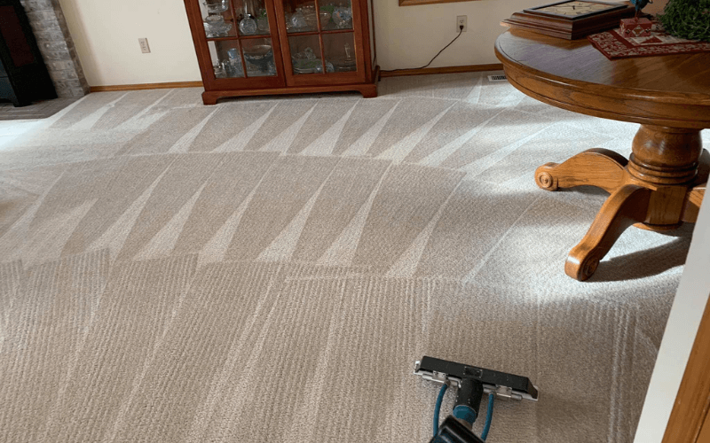 How To Choose Professional Carpet Cleaning Services In Sherman Oaks?