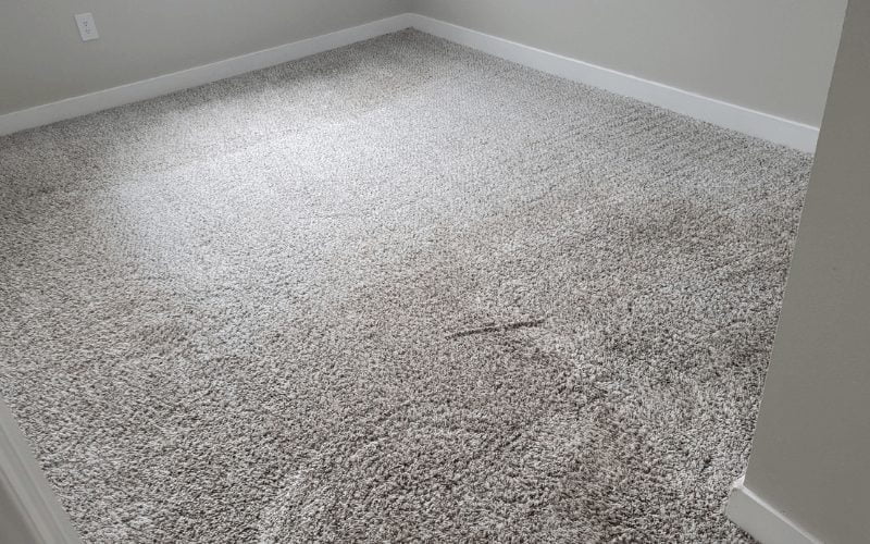 How To Remove Water Stains From The Carpet?