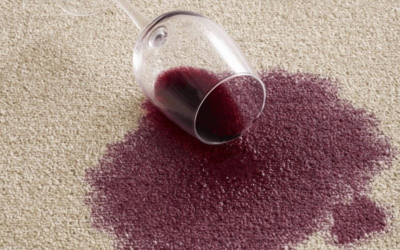 Professional Carpet Cleaning Local Business JP Carpet Cleaning