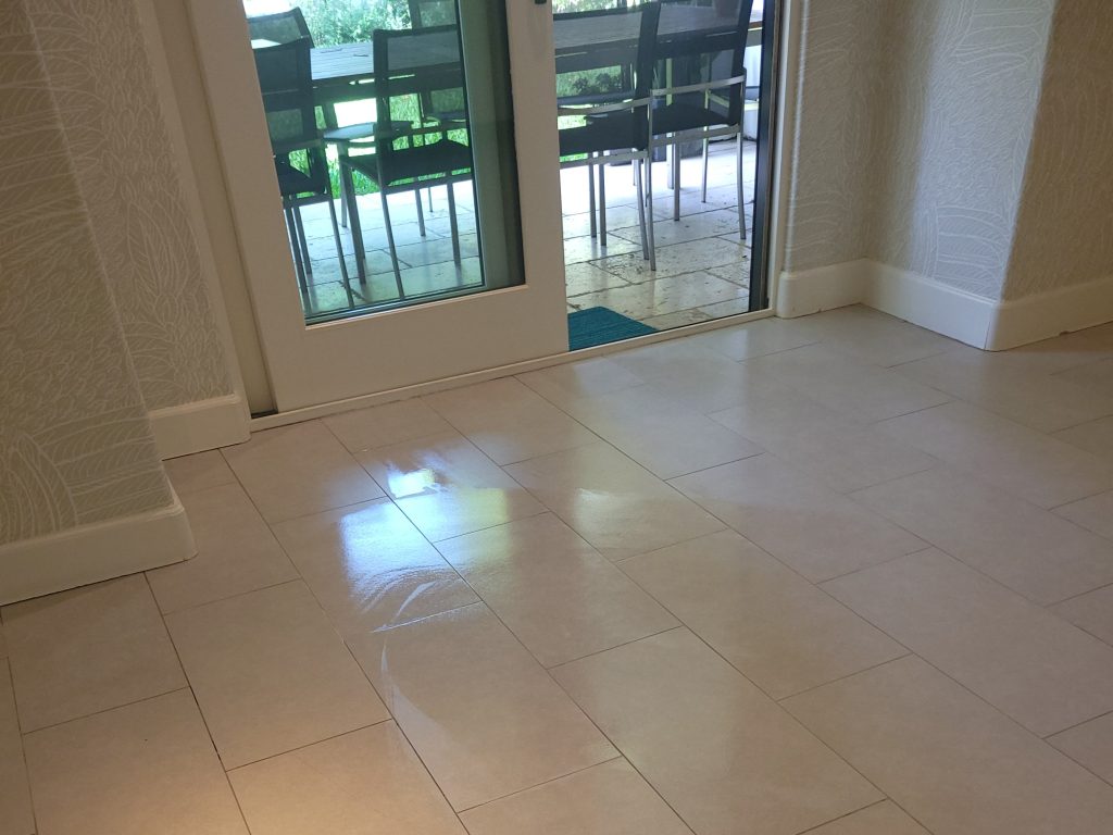 Premium carpet cleaning services