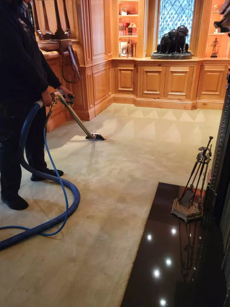 Professional Carpet Cleaning