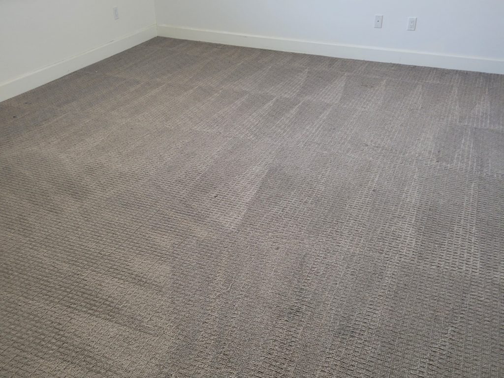 Recommended carpet cleaning crew in Los Angeles