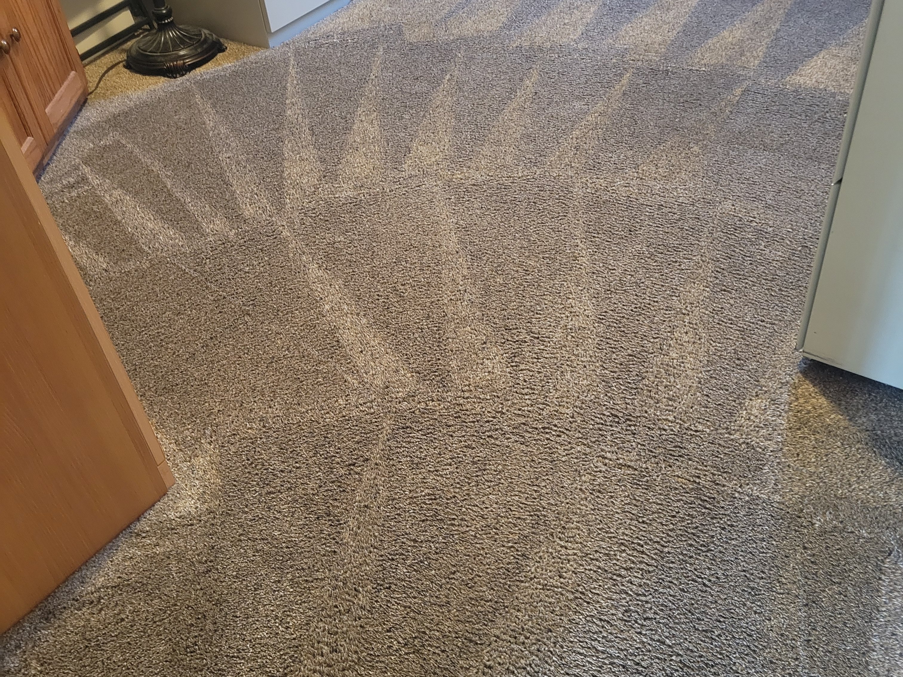 Reliable carpet cleaning services