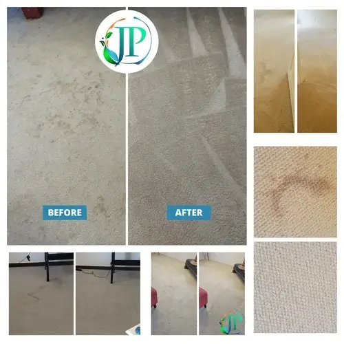 carpet-cleaning-collage