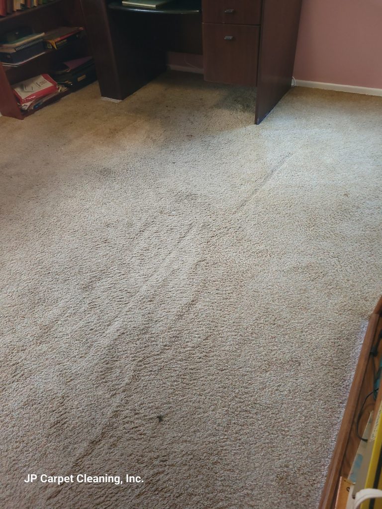 Carpet Cleaning for Office Spaces: What Los Angeles Businesses Need to Know