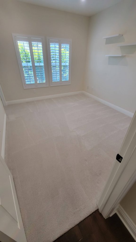 carpet cleaning near me in Encino