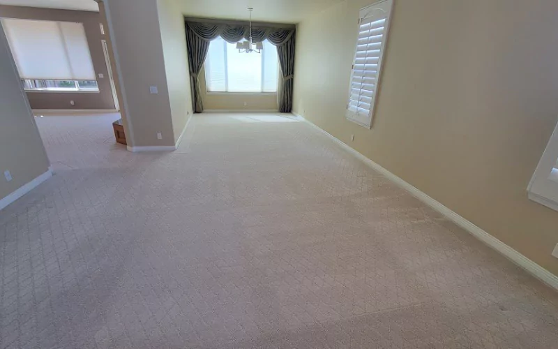 Carpet Cleaning Tips for the Upcoming Holidays