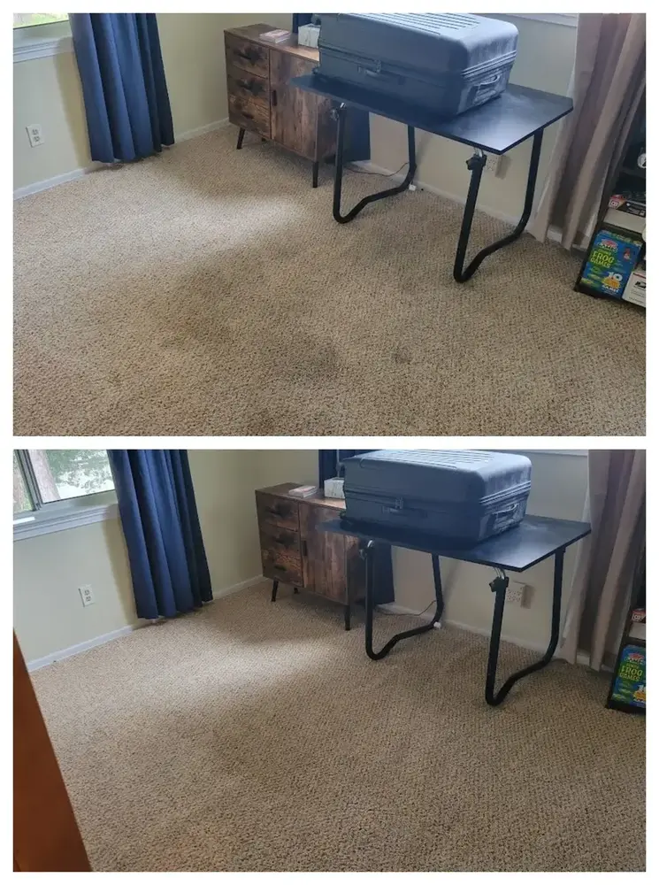 Van Nuys Carpet Cleaning | 818.263.9314 | JP Carpet