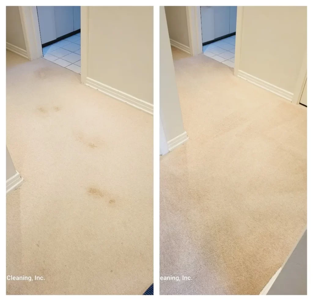 Carpet Steam Cleaning by JP Carpet Cleaning Expert Floor Care