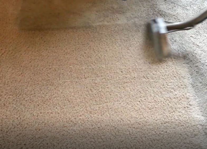 carpet steam cleaning