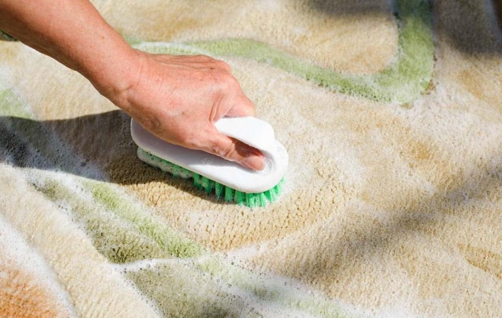 Scrubbing the area rug | JP Carpet Cleaning Expert Floor Care