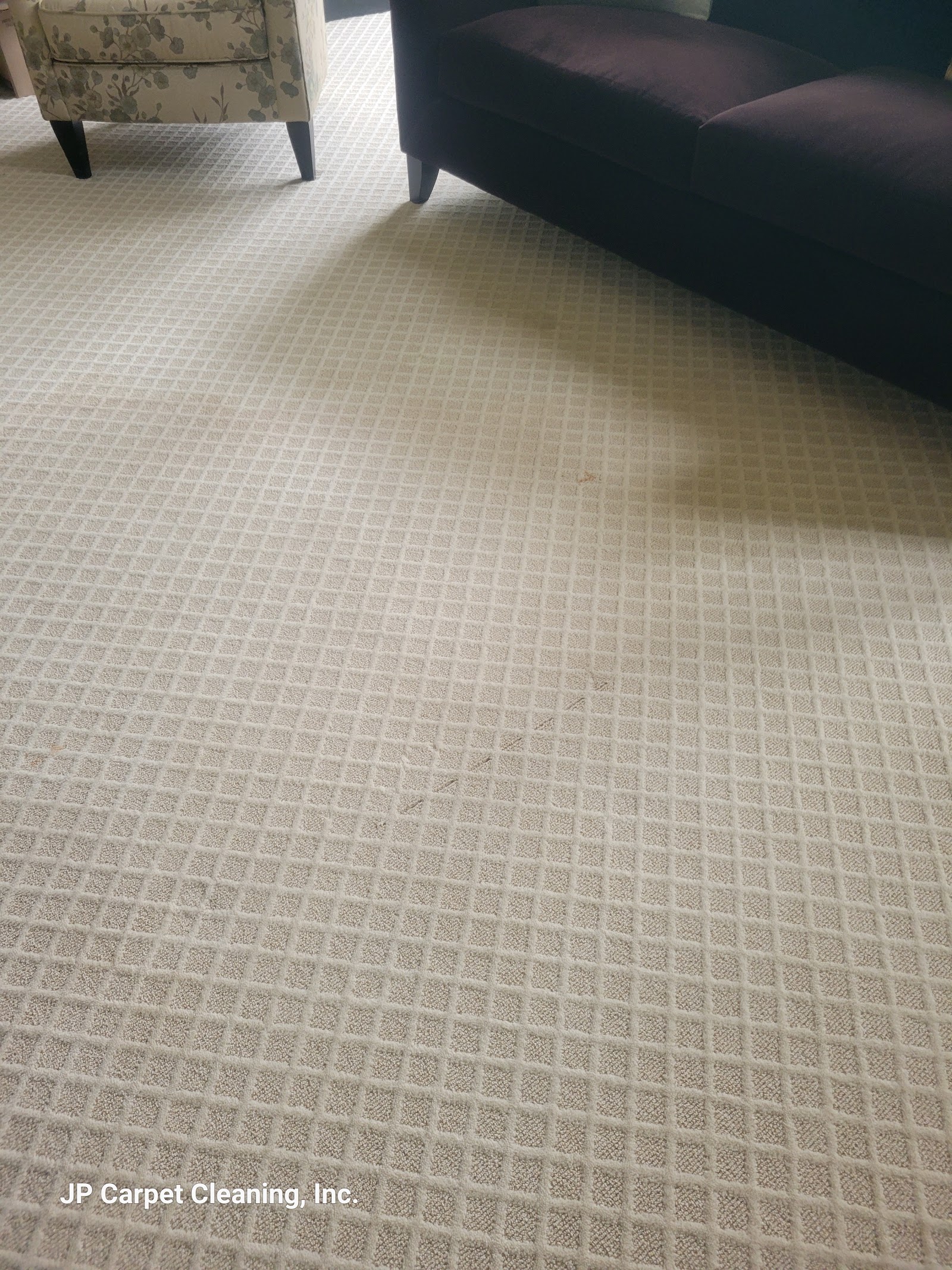 How to Clean Area Rugs Without Damaging the Fibers