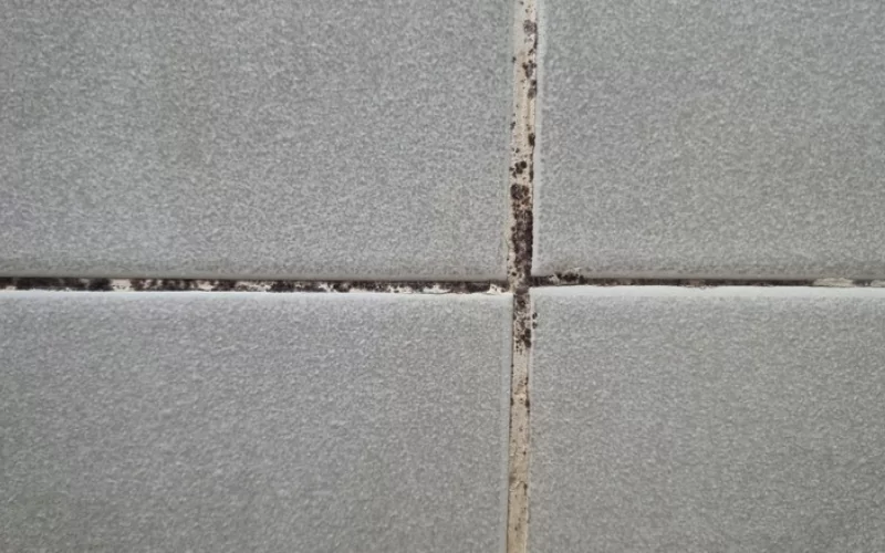 4 Simple Ways To Remove Mold Stains From Grout