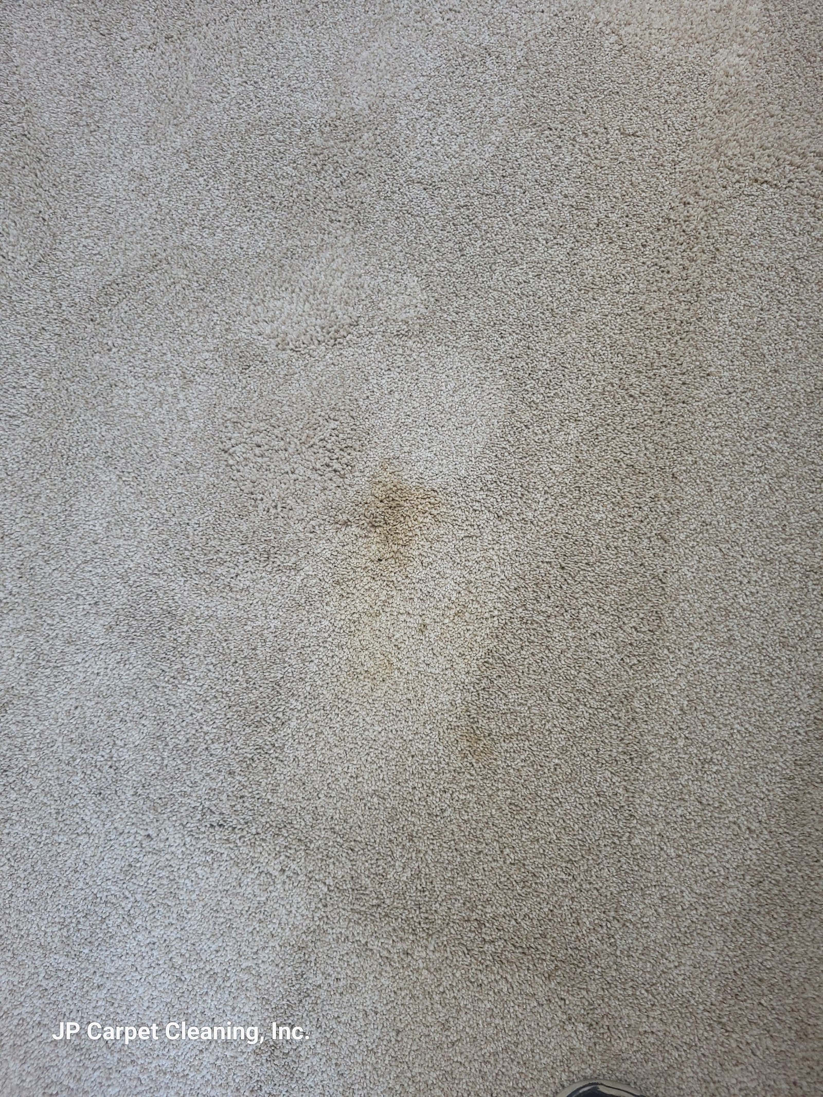 How to Remove Tough Carpet Stains Like Coffee, Wine, and Ink