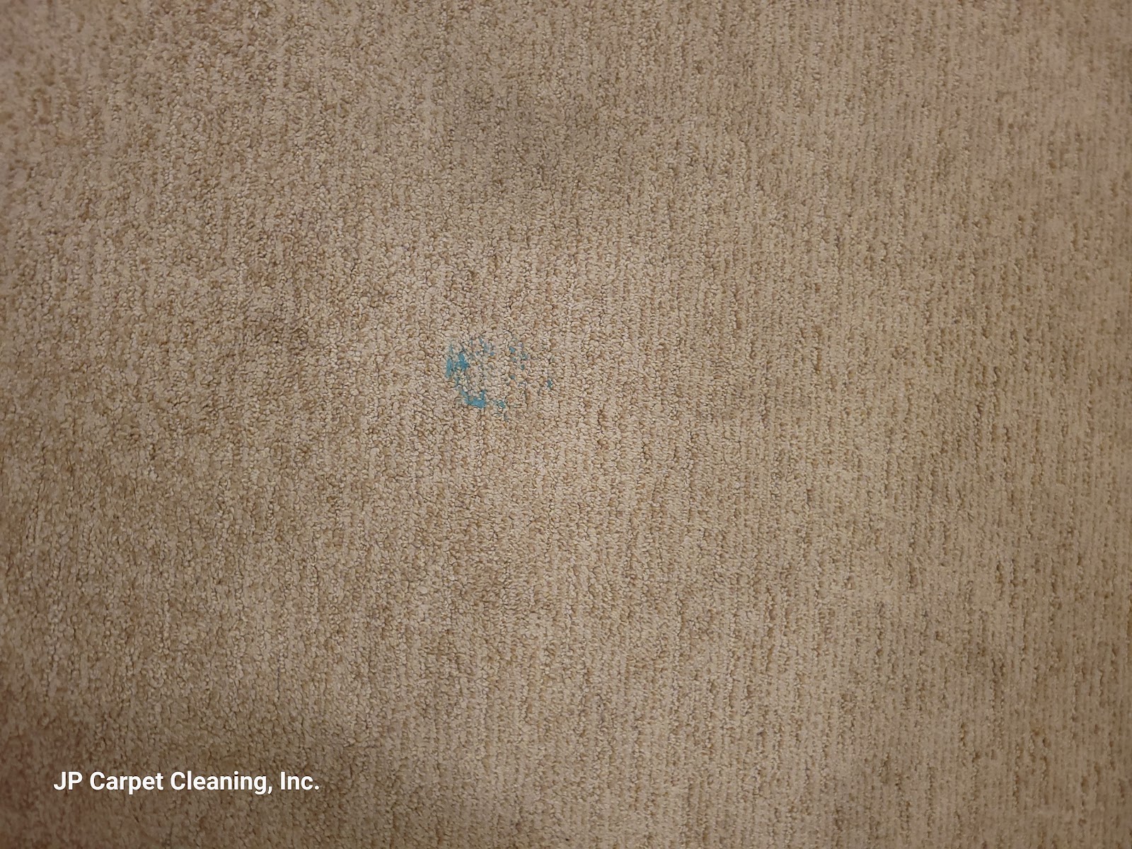 How to Remove Tough Carpet Stains Like Coffee, Wine, and Ink