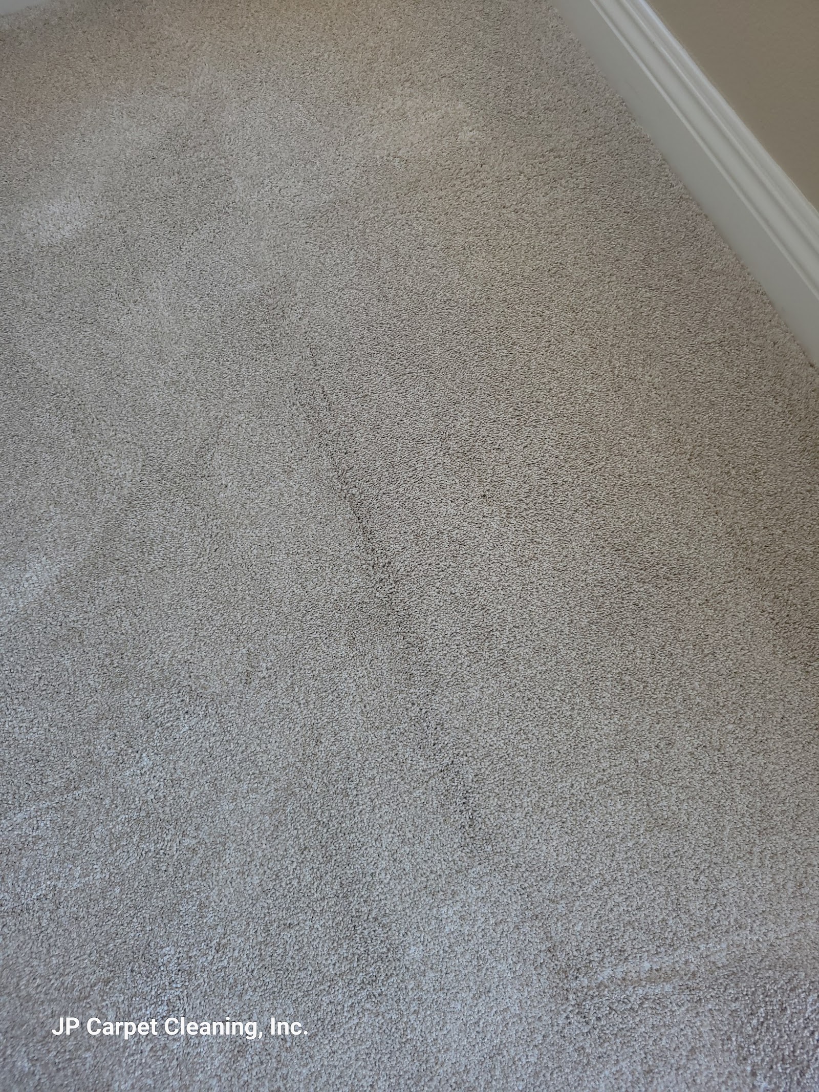 Is Professional Carpet Cleaning Worth It for Homeowners in Los Angeles?