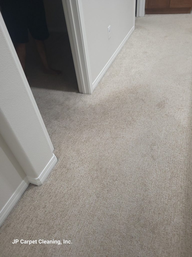 Is Professional Carpet Cleaning Worth It for Homeowners in Los Angeles?