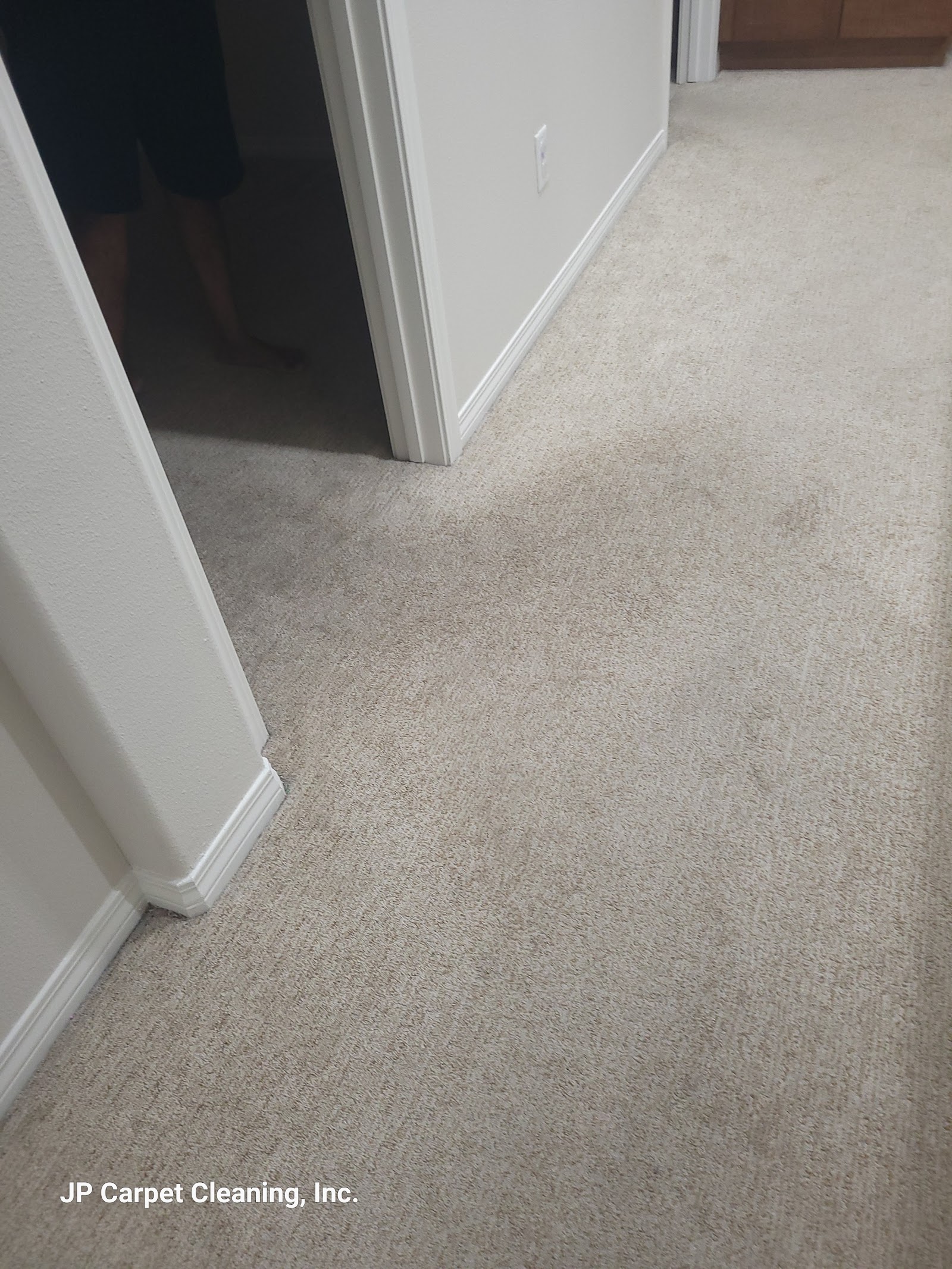 Is Professional Carpet Cleaning Worth It for Homeowners in Los Angeles?