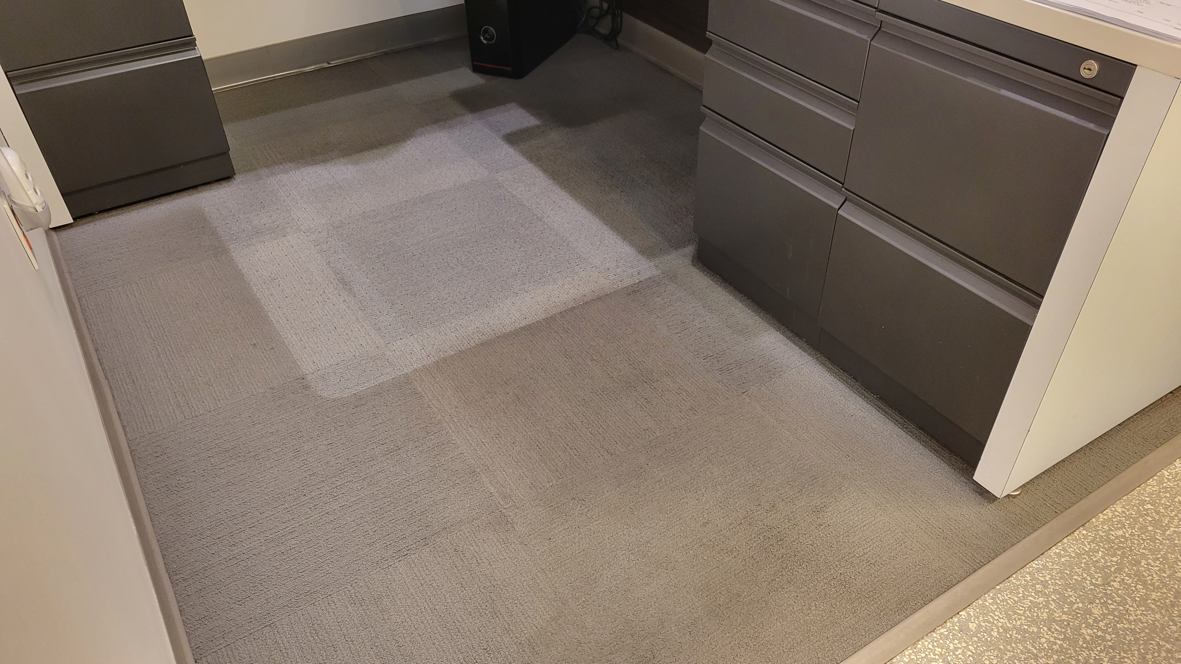 How much does carpet cleaning cost in LA