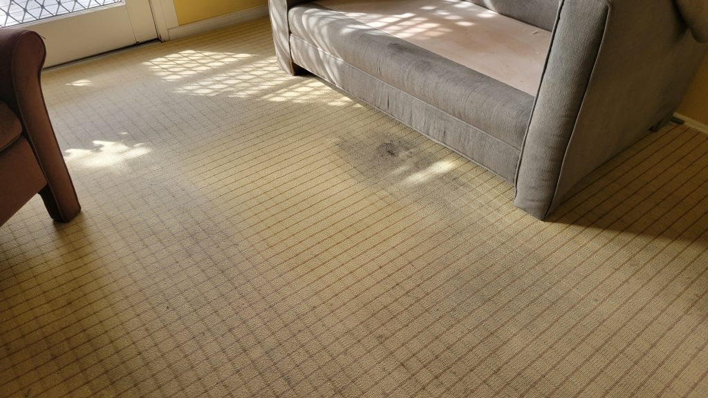 jpcarpetandfloorcare2