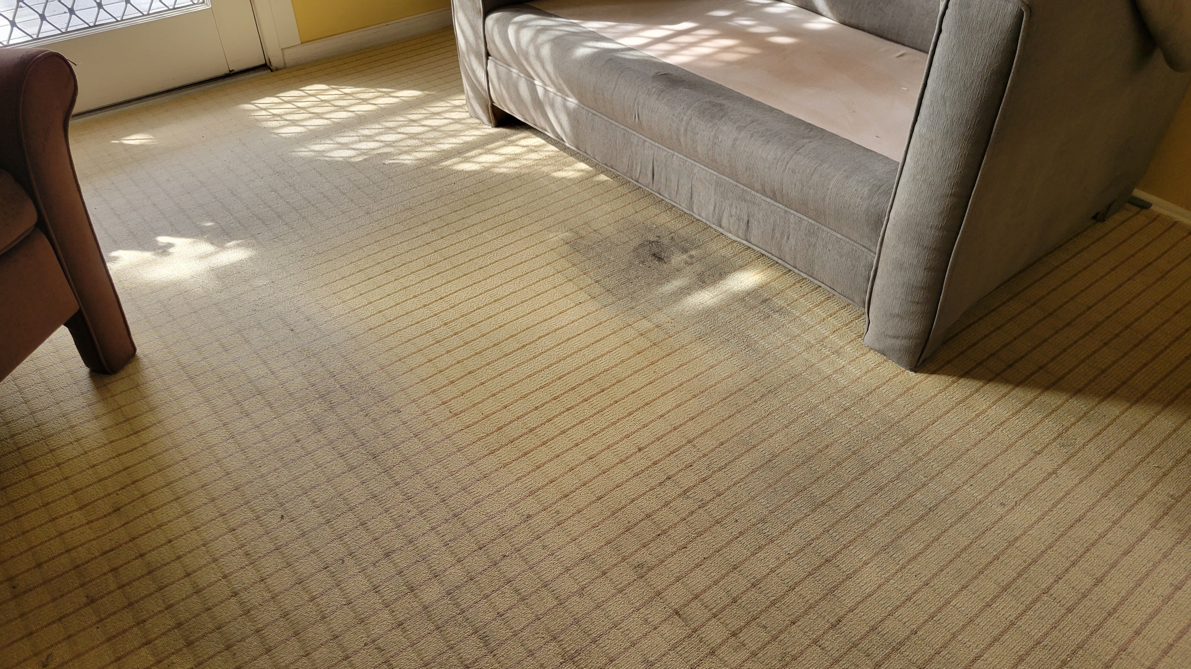jpcarpetandfloorcare2