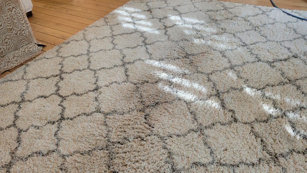 jpcarpetandfloorcare3