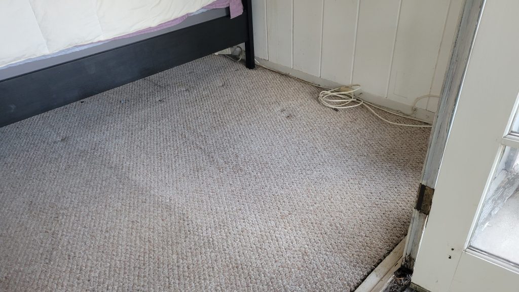 jpcarpetandfloorcare4