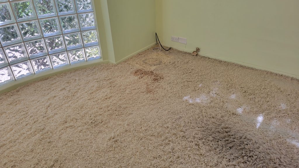 jpcarpetandfloorcare5