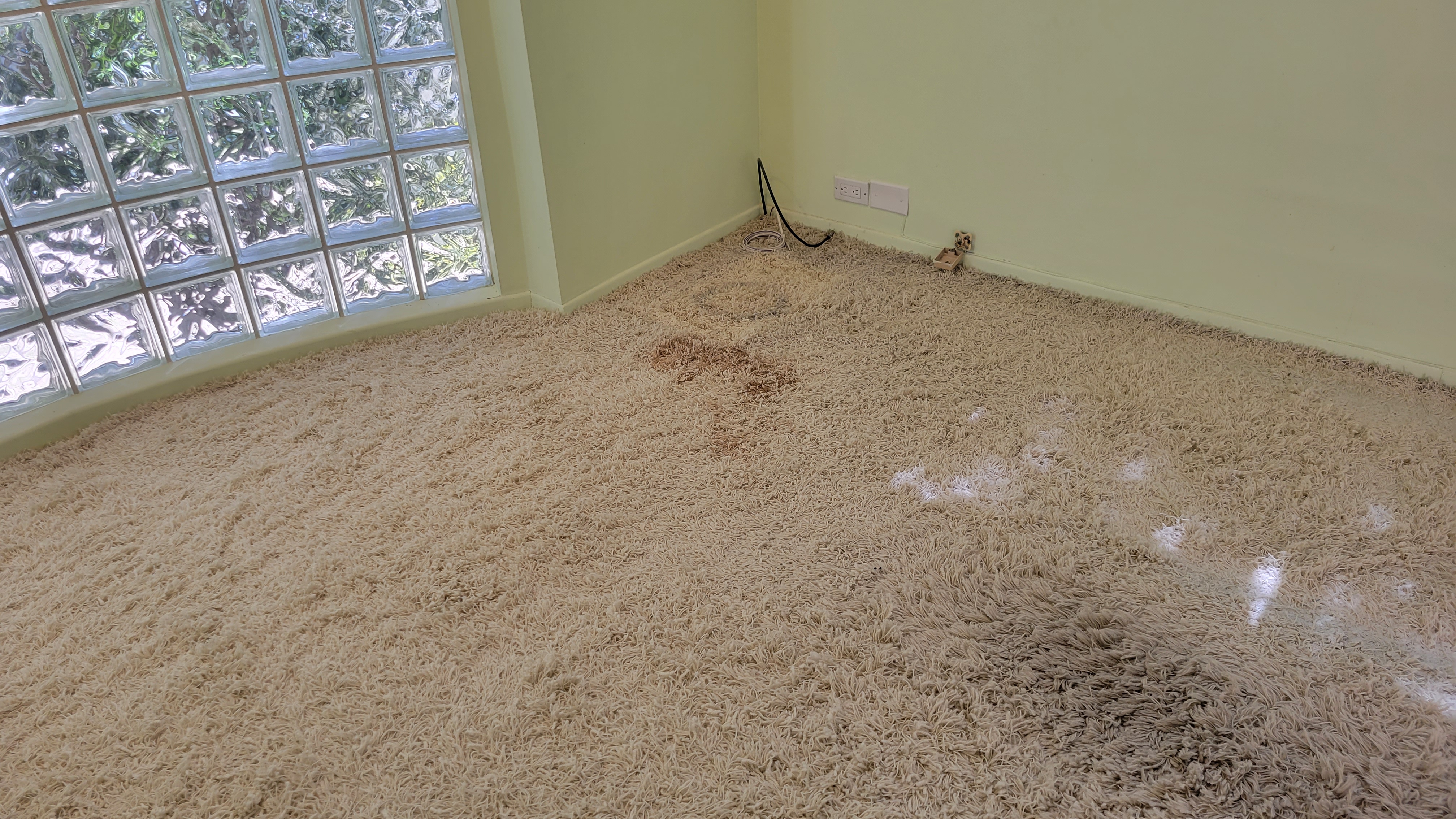 jpcarpetandfloorcare5