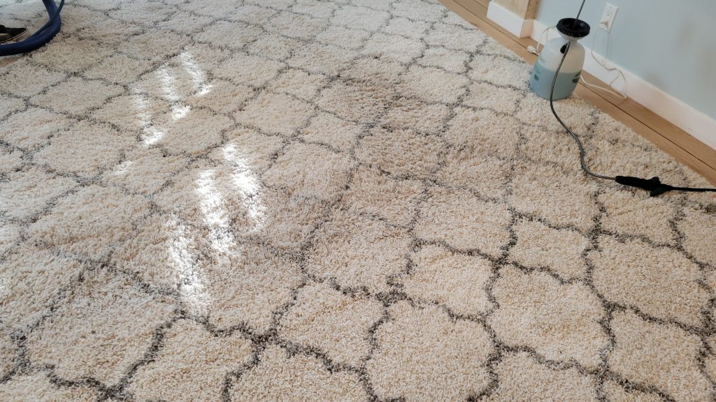 jpcarpetandfloorcare7