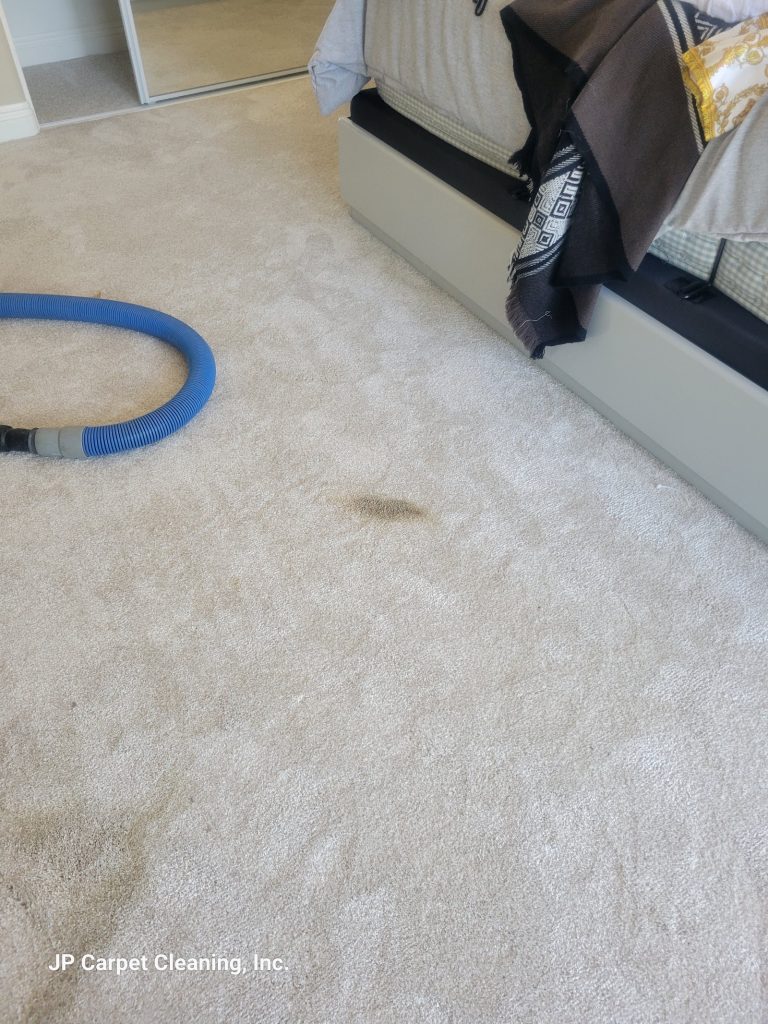 Pre-Treatment in Carpet Cleaning: Why It Matters for Stain Removal