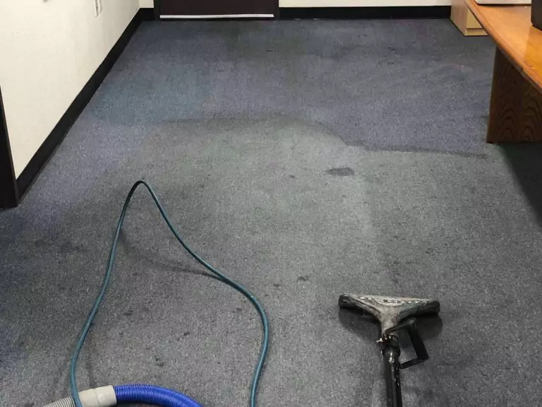 professional-carpet-cleaning