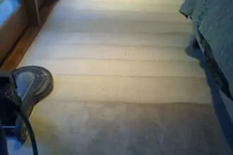 professional carpet cleaning service