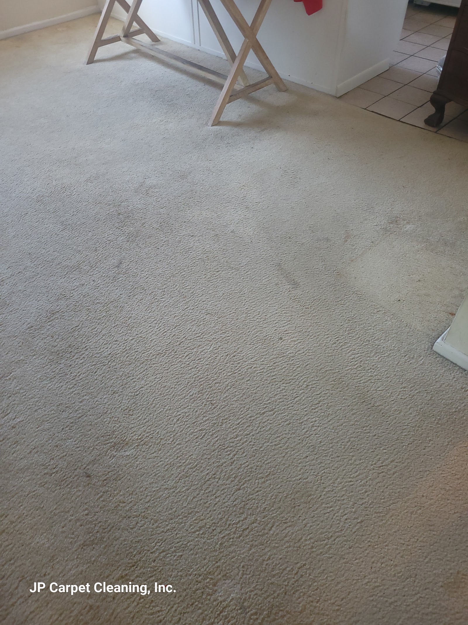 Same-Day Carpet Cleaning Services in Los Angeles: When Are They Necessary?