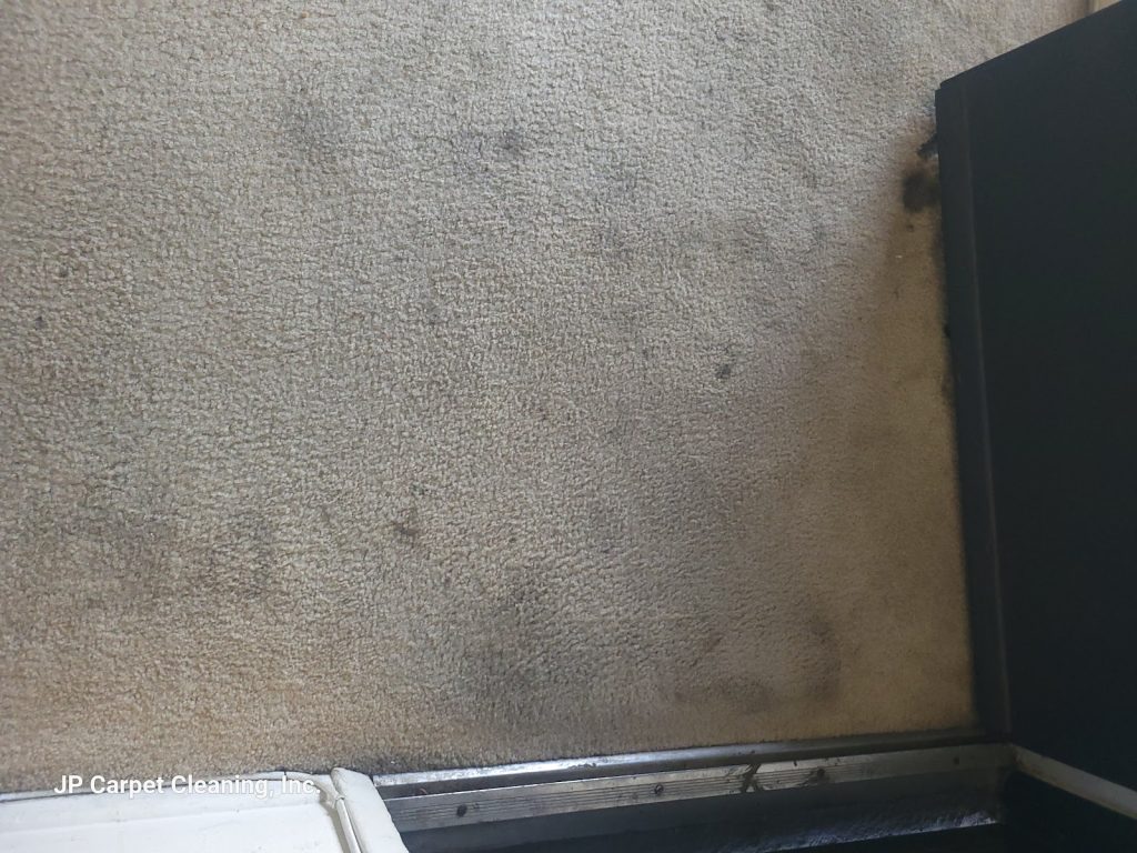 Same-Day Carpet Cleaning Services in Los Angeles: When Are They Necessary?