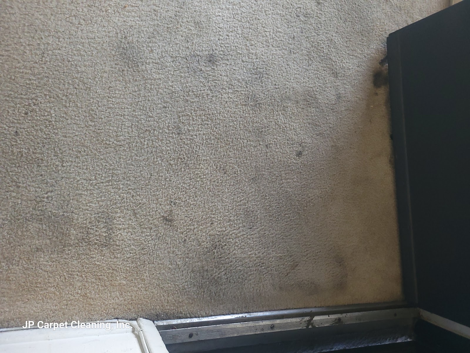 Same-Day Carpet Cleaning Services in Los Angeles: When Are They Necessary?