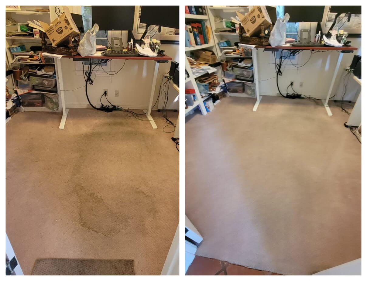 west hollywood carpet cleaning (1)