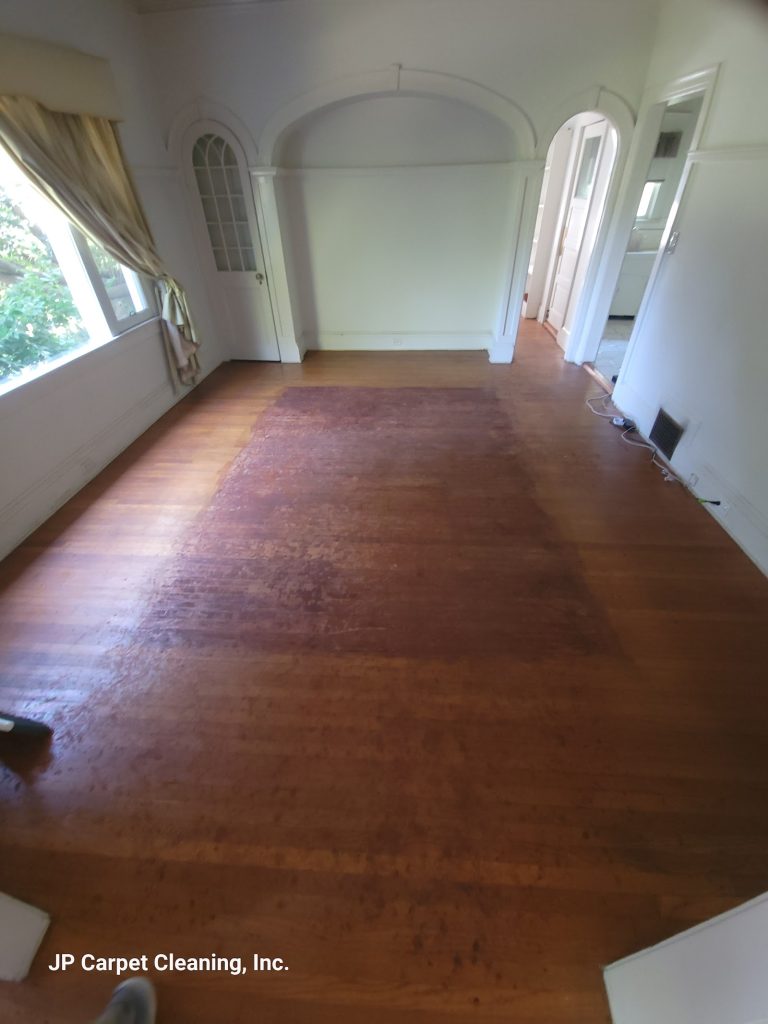 Wood Floor Cleaning and Maintenance Guide for LA Homes